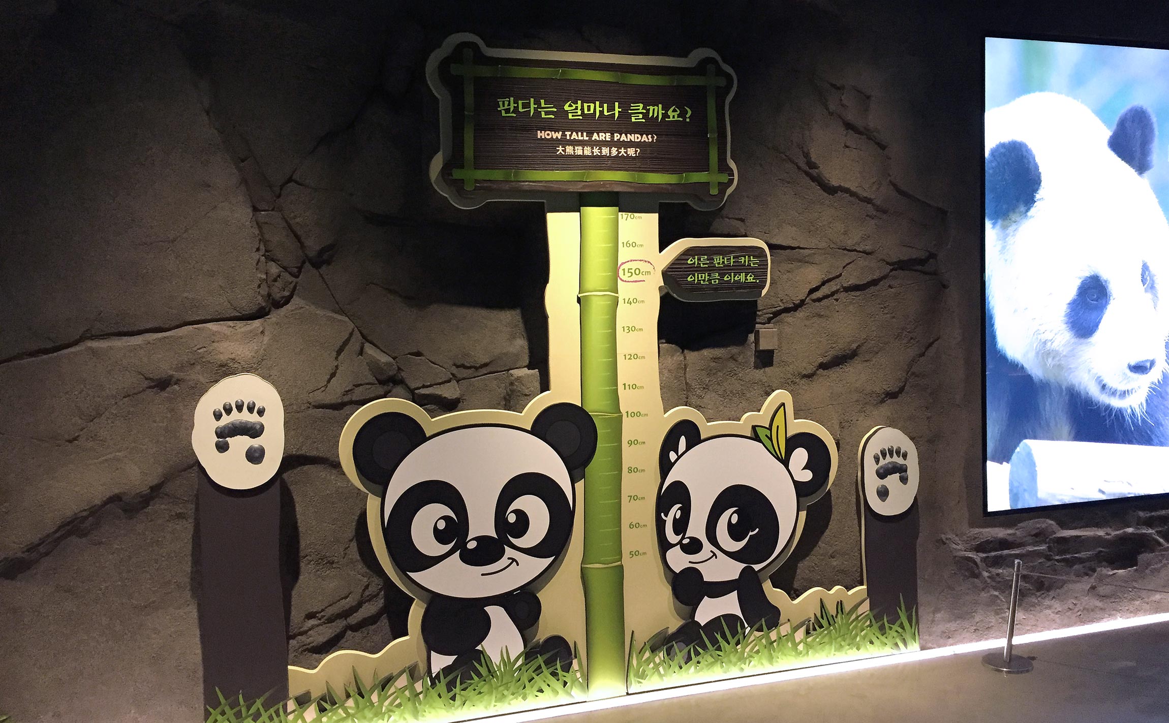 Panda World Everland Exibition & Environmental pandaworld-sign-1.jpg