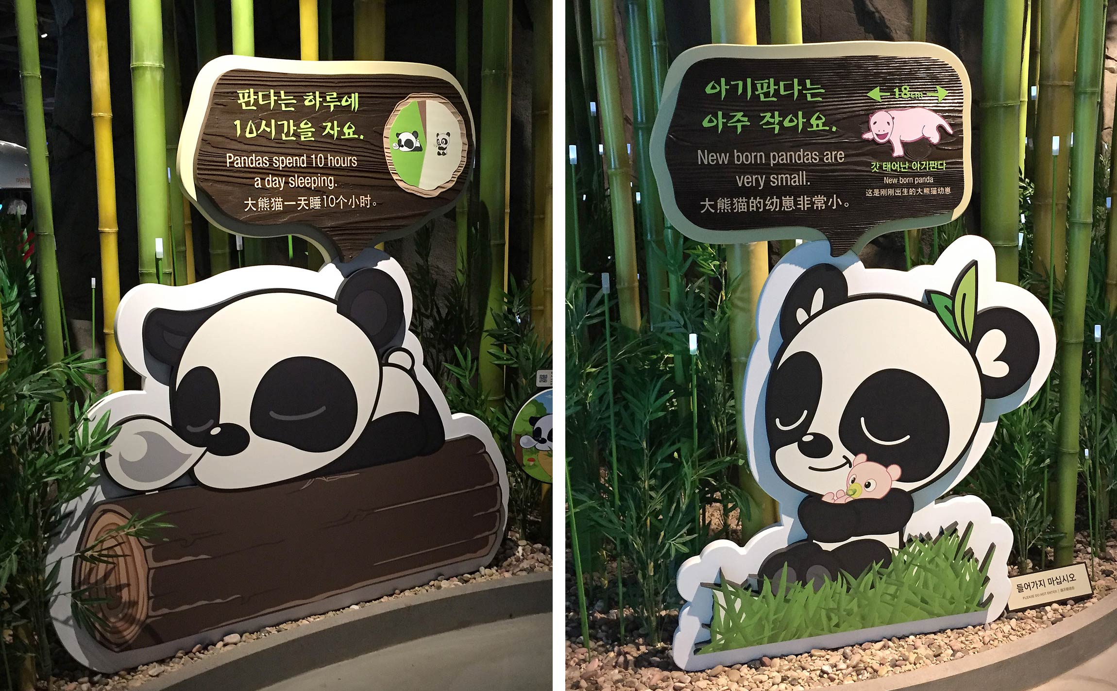 Panda World 에버랜드 전시, 행사, 환경, 공간 pandaworld-sign-2.jpg